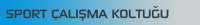 Sport Çalışma Koltuğu